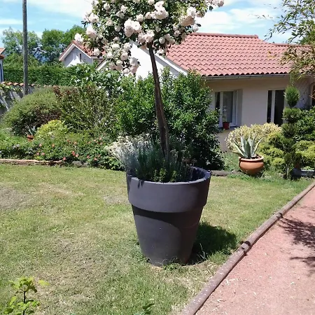 érable Pourpre 3* Saint-Georges-Haute-Ville