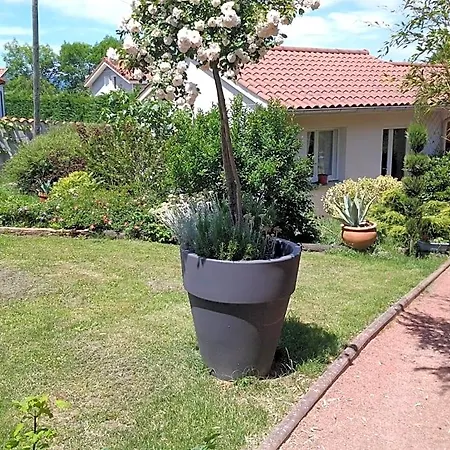Bed & Breakfast érable Pourpre Saint-Georges-Haute-Ville